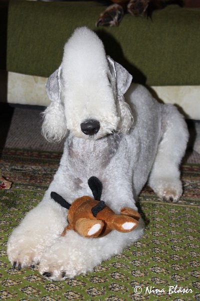 Quincy 2009-06-11 (2).JPG